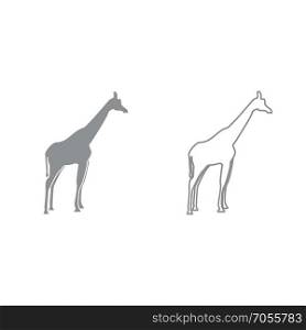Giraffe grey set icon .