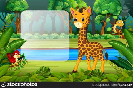 Giraffe in the forest