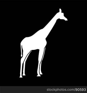 Giraffe it is white icon .. Giraffe it is white icon . Flat style .