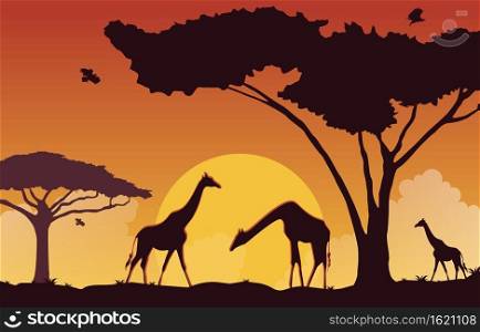 Giraffe Sunset Animal Savanna Landscape Africa Wildlife Illustration
