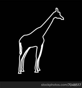 Giraffe white icon .
