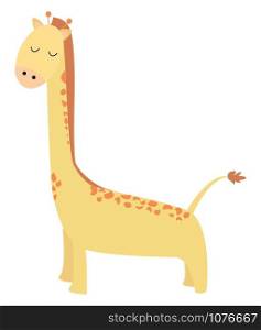 Giraffe yellow, illustration, vector on white background.