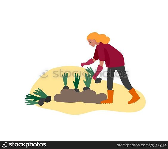 Girl gathering crops or seasonal harvest, collecting ripe vegetables. Women work on a farm. Agricultural worker in autumn. Cartoon vector illustration. Girl gathering crops or seasonal harvest, collecting ripe vegetables. Women work on a farm. Agricultural worker in autumn. Cartoon vector