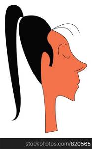 Girl with long black ponytail vector or color illustration
