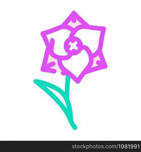 gladiolus flower color icon vector. gladiolus flower sign. isolated symbol illustration. gladiolus flower color icon vector illustration