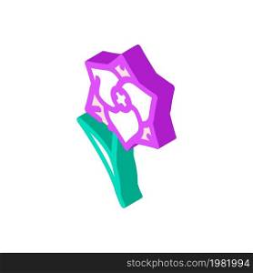 gladiolus flower isometric icon vector. gladiolus flower sign. isolated symbol illustration. gladiolus flower isometric icon vector illustration