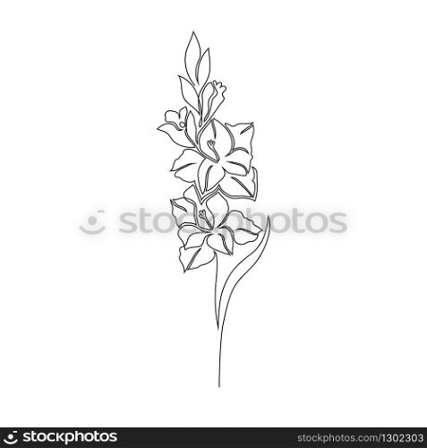Gladiolus flower on white background. One line drawing style.Tattoo idea.