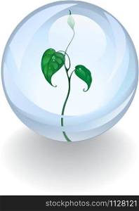 glass ball with grow