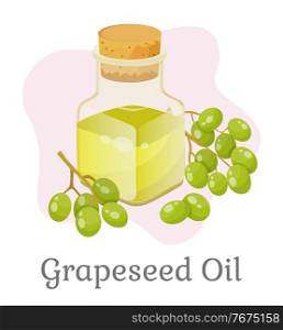 Glass bottle closed with bung with liquid inside. Branch with green small grapes. Vessel with grapeseed oil used for cooking or beauty industry like hair care. Vector illustration in flat style. Grapeseed Oil in Bottle, Branch with Green Grapes