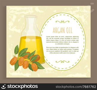 Glass bottle contains golden liquid inside. Branch with brown nuts of argania. Text, information about argan oil in vessel. Product used in beauty industry like for hair care. Vector illustration. Information About Argan Oil in Bottle, Argania