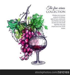 Glass of red wine with grape branch hand drawn vector illustration. Red Wine With Grape