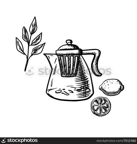 Glass teapot with infuser strainer, fresh twig of tea bush, whole and sliced lemon fruit isolated on white background. Sketch style. Teapot with infuser, tea leaf and lemon fruit