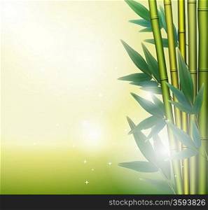 Glowing bamboo background, vector illustration