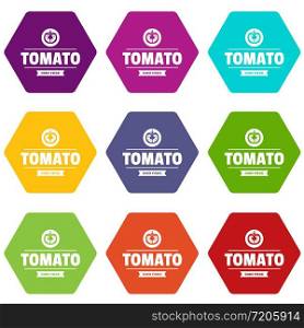 Gmo free tomato icons 9 set coloful isolated on white for web. Gmo free tomato icons set 9 vector