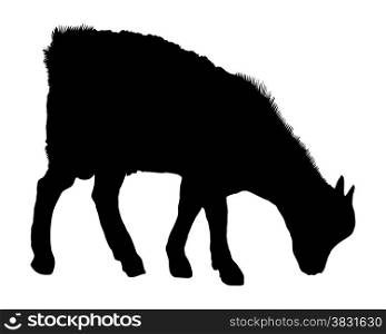 Goat silhouette