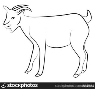 Goat sketch, illustration, vector on white background.