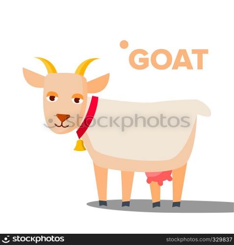 Goat Vector. Funny Animal. Isolated Cartoon Illustration. Goat Vector. Funny Animal. Isolated Flat Cartoon Illustration