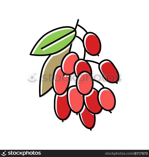 goji berry and leaves color icon vector. goji berry and leaves sign. isolated symbol illustration. goji berry and leaves color icon vector illustration