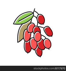 goji berry and leaves color icon vector. goji berry and leaves sign. isolated symbol illustration. goji berry and leaves color icon vector illustration