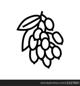 goji berry and leaves line icon vector. goji berry and leaves sign. isolated contour symbol black illustration. goji berry and leaves line icon vector illustration
