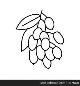 goji berry and leaves line icon vector. goji berry and leaves sign. isolated contour symbol black illustration. goji berry and leaves line icon vector illustration