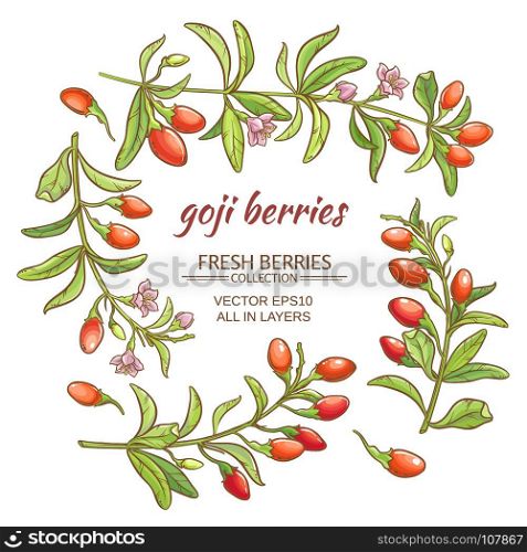 goji berry. goji berries vector set on white background