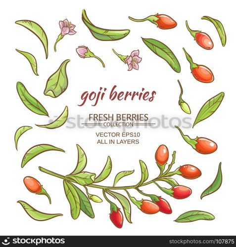 goji berry vector set. goji berries vector set on white background