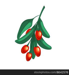 goji leaf cartoon. red fruit, wolfberry barbarum, closeup food, lycium healthy, chinese ripe, barberry goji leaf vector illustration. goji leaf cartoon vector illustration