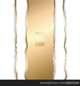Gold and black torn paper. Vector illustration Gold torn paper. Template background