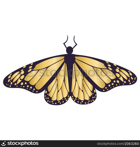 Gold butterfly isolated. Beautiful black and golden symmetry butterfly vector illustration. Animal moth decoration. Gold butterfly isolated