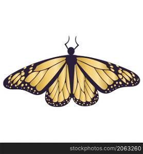 Gold butterfly isolated. Beautiful black and golden symmetry butterfly vector illustration. Animal moth decoration. Gold butterfly isolated