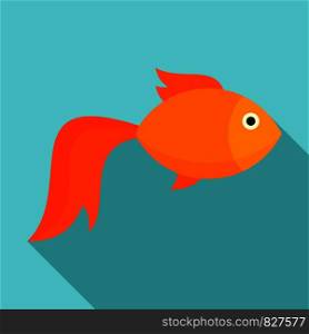 Gold fish icon. Flat illustration of gold fish vector icon for web design. Gold fish icon, flat style