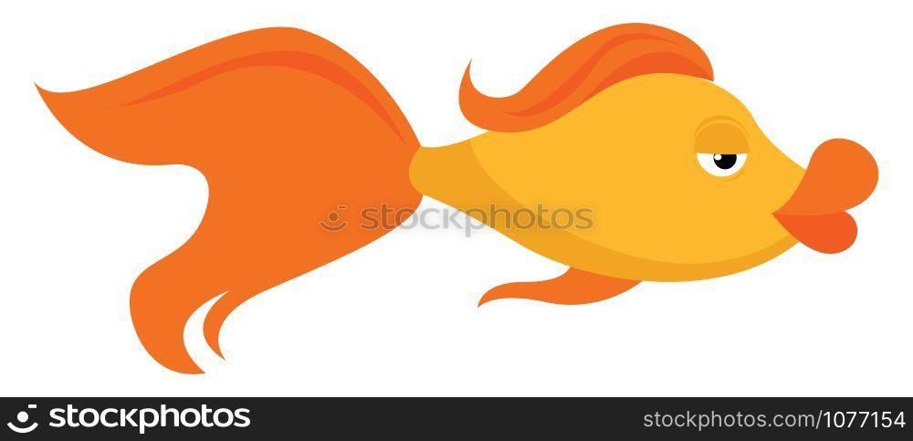 Gold fish, illustration, vector on white background.