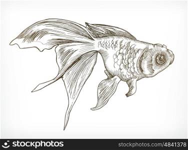 Gold fish sketches, hand drawing, vector