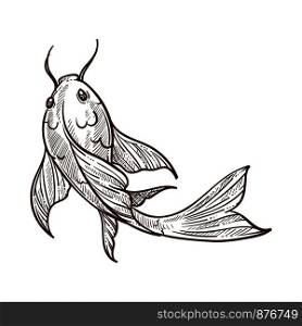 Gold fish with big fins floating monochrome sketch outline. Hand drawn Chinese decorative limbless animal with gills and broad tail. Cold-blooded fauna in motion isolated on vector illustration. Gold fish with big fins floating monochrome sketch vector illustration