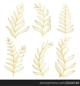 Gold twigs set isolated vector illustration. Collection of golden graceful botanical branches with sheets. Decoration leaves hand drawn. Gold twigs set isolated vector illustration