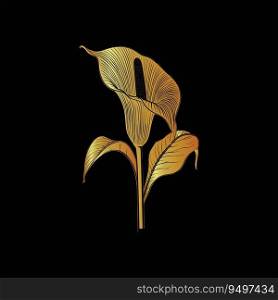 Gold Vector Illustration of a Calla Gold Lily