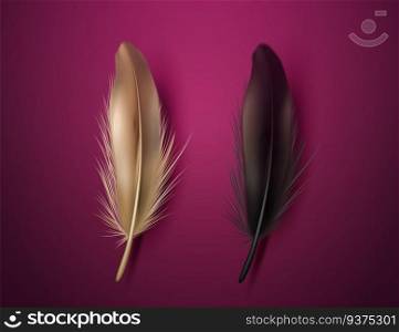 Golden and black feathers on burgundy purple background in 3d illustration. Golden and black feathers