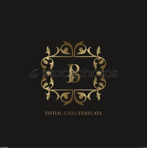 Golden B Initial logo. Frame emblem ampersand deco ornament monogram luxury logo template for wedding or more luxuries identity