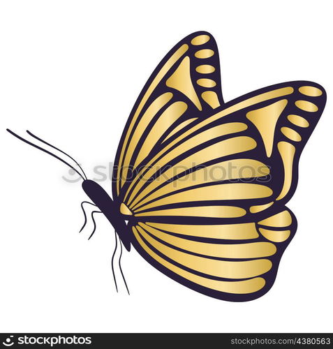 Golden beautiful butterfly in profile isolated vector illustration. Gold moth sits with decorated wings. Golden beautiful butterfly in profile isolated vector illustration