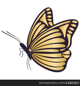 Golden beautiful butterfly in profile isolated vector illustration. Gold moth sits with decorated wings. Golden beautiful butterfly in profile isolated vector illustration