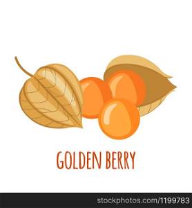 Golden Berry or Physalis vector icon in flat style isolated on white background. Superfood Golden Berry or Physalis fruit. Organic healthy dietary supplement. Vector illustration.. Golden Berry or Physalis vector icon in flat style isolated on white background.