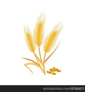 Golden ears of wheat isolated cereal grains. Vector barley or malt, rye spikes, bakery flour ingredient. Spike, ears of wheat with grains isolated barley