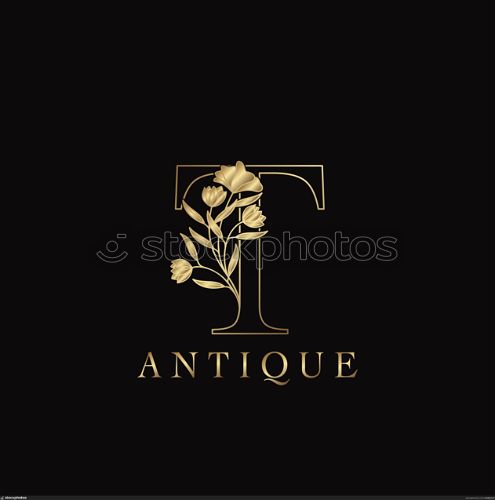 Golden Letter T Luxury Flowers Initial Logo Template Design. Monogram antique ornate nature floral leaf with initial letter.