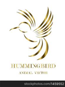 Golden line art Vector illustration on a white background of flying hummingbirds. Suitable for making logos