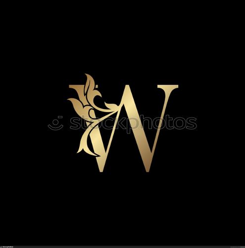 Golden Luxury Letter W Initial Logo Icon Template Design. Monogram ornate nature floral leaf with initial letter gold color for luxuries business identity.