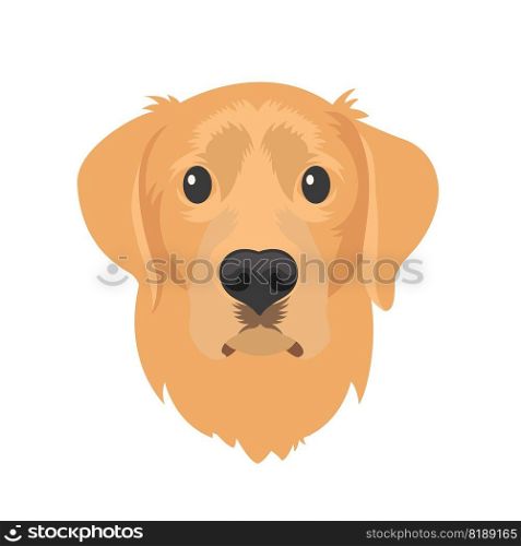 Golden retriever dog vector Illustration