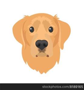 Golden retriever dog vector Illustration