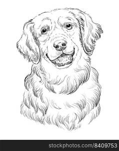 Golden Retriever hand drawing dog realistic vector isolated illustration on white background. Cute funny dog looking into the camera. For print, design, T-shirt, sublimation, coloring, poster, card. Golden Retriever hand drawing dog vector illustration