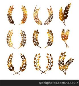 Golden rye wheat ears wreaths of set vector elements for bread and beer labels and logos isolated on white background illustration. Golden rye wheat ears wreaths vector elements for bread and beer labels and logos